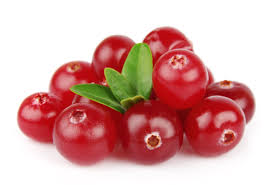 Cranberry Design Melbourne