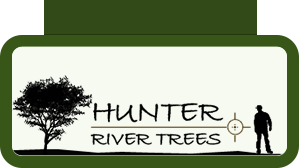 Hunter River Trees
