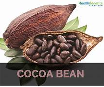 Coco BEAM