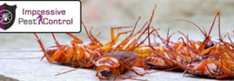 Pest Control Murray Bridge
