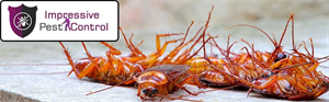 Pest Control Murray Bridge